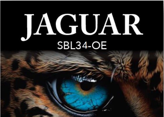 ジャガー SBL34-OE – フィッシングショップ ザーキー