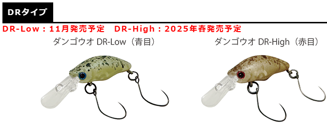 ダンゴウオ(団子魚)LOW 25年6月入荷分