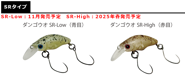 ダンゴウオ(団子魚)LOW 25年6月入荷分