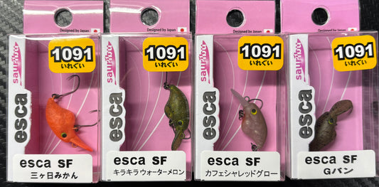 イスカ 26年2月1091カラー