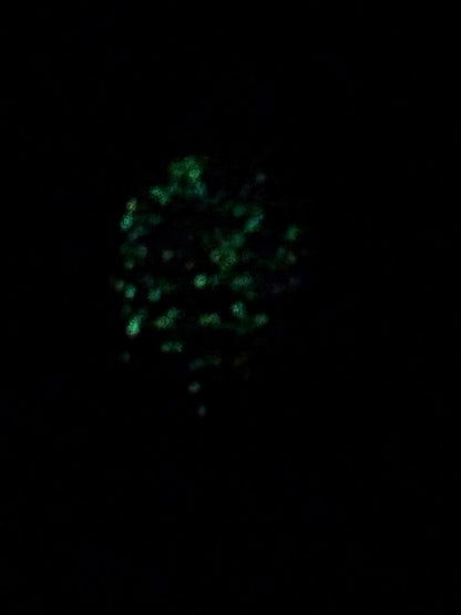 Bクラッシュ2.0g UVボトムチャート JAGURフック仕様☆須川FPの大会でウイニングカラー‼☆